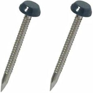 Poly Head Pins Fascia Nails Grey